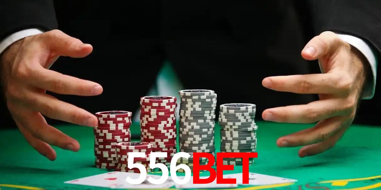 556bet